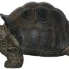 Vivid Arts Baby Tortoise Petpal