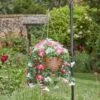 Smart Garden Regal Basket - Summer Bloom