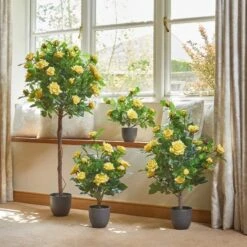Smart Garden 40cm Regent's Roses - Sunshine Yellow -LG Outdoor Shop 50835 31596