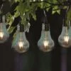 Smart Garden Eureka! Retro Lightbulb, 4 Pack
